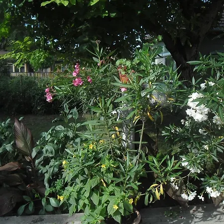 Guest house Attila Vendeghaz