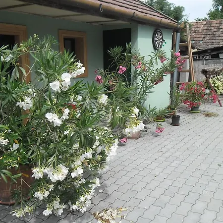 Attila Vendeghaz Guest house Tapioszentmarton